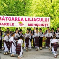 Sărbătoarea liliacului de la Ponoarele și parfumul iubirii