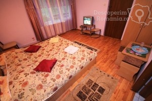 Vila-Remmar-din-Ciungetu-Valcea-Valea-Lotrului-DescoperimRomania-148-300x200 vila-remmar-din-ciungetu-valcea-valea-lotrului-descoperimromania-148