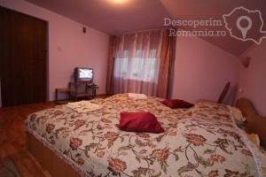 Vila-Remmar-din-Ciungetu-Valcea-Valea-Lotrului-DescoperimRomania-159-300x200 vila-remmar-din-ciungetu-valcea-valea-lotrului-descoperimromania-159