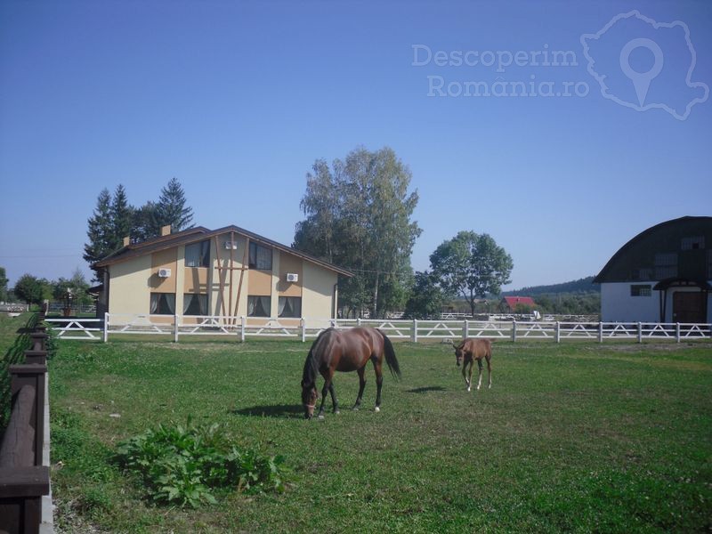 Complex Turistic Forest Ecvestru din Suceviţa