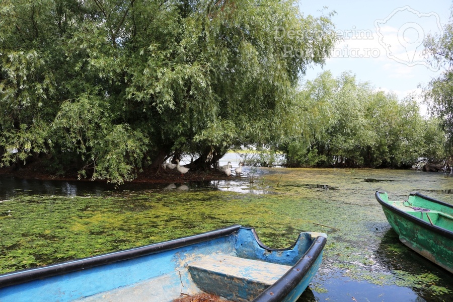 Cazare Delta Dunarii - Cazare Romania - DescoperimRomania