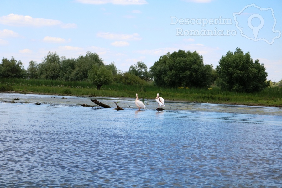 Cazare Delta Dunarii - Cazare Romania - DescoperimRomania