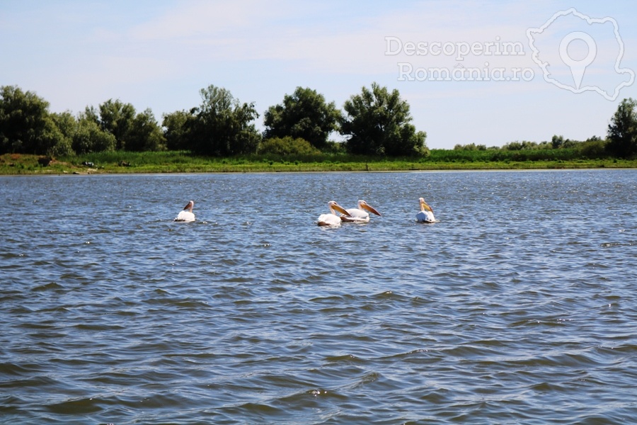 Cazare Delta Dunarii - Cazare Romania - DescoperimRomania