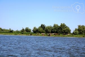 Cazare-Delta-Dunarii-Cazare-Romania-DescoperimRomania-7-300x200 Cazare Delta Dunarii - Cazare Romania - DescoperimRomania (7)