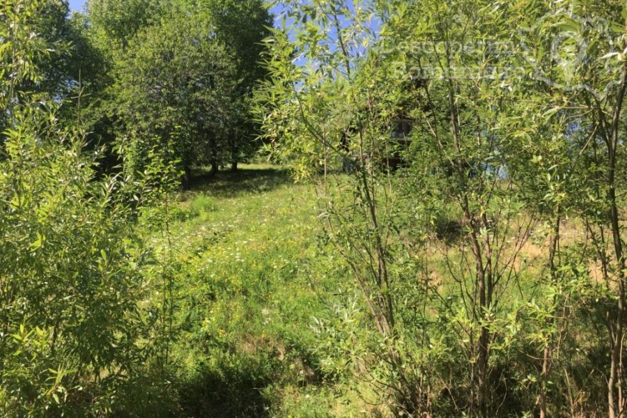Cazare la Casa de vacanta Lucian din Gura Humorului - Suceava - Bucovina