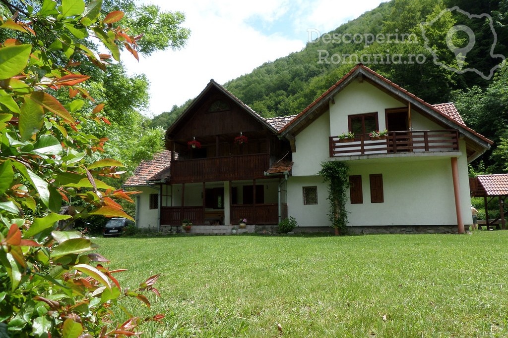 Cazare la Vila Cervus din Lotrioara - Sibiu - Marginimea Sibiului (9)