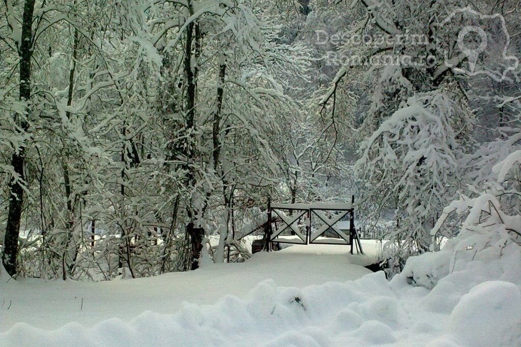 Cazare la Vila Cervus din Lotrioara - Sibiu - Marginimea Sibiului