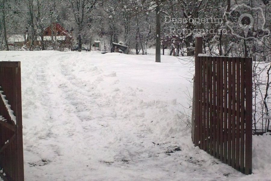 Cazare-la-Vila-Cervus-din-Lotrioara-Sibiu-Marginimea-Sibiului-9-900x600 Cazare la Vila Cervus din Lotrioara - Sibiu - Marginimea Sibiului (9)