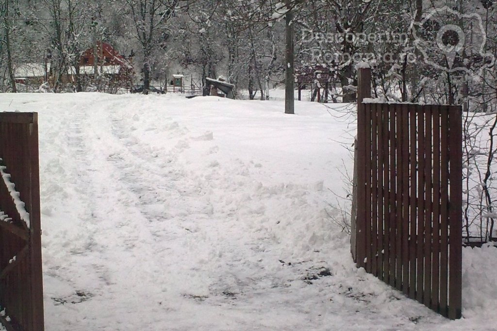 Cazare la Vila Cervus din Lotrioara - Sibiu - Marginimea Sibiului (9)