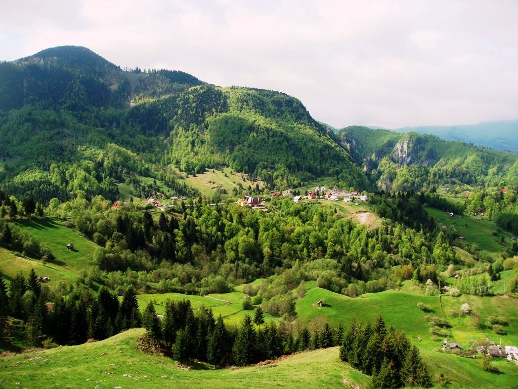 Rucăr Bran Rucăr Bran