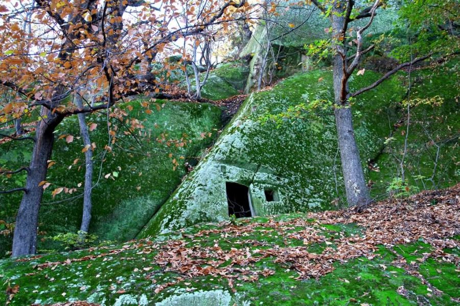 Valea-Buzaului_Complexul-rupestru-Alunis-900x598 Valea Buzăului Complexul-rupestru-Alunis