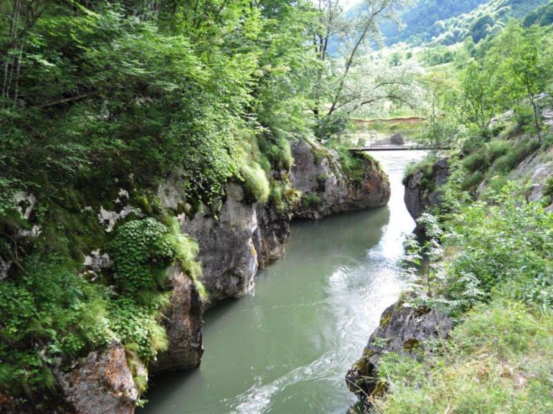 Valea-Cernei