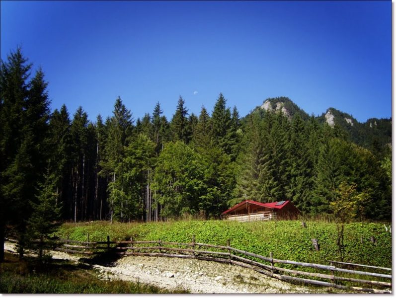 Valea-Teleajenului_Valea_stanei1-797x600 Valea Teleajenului_Valea_Stanei