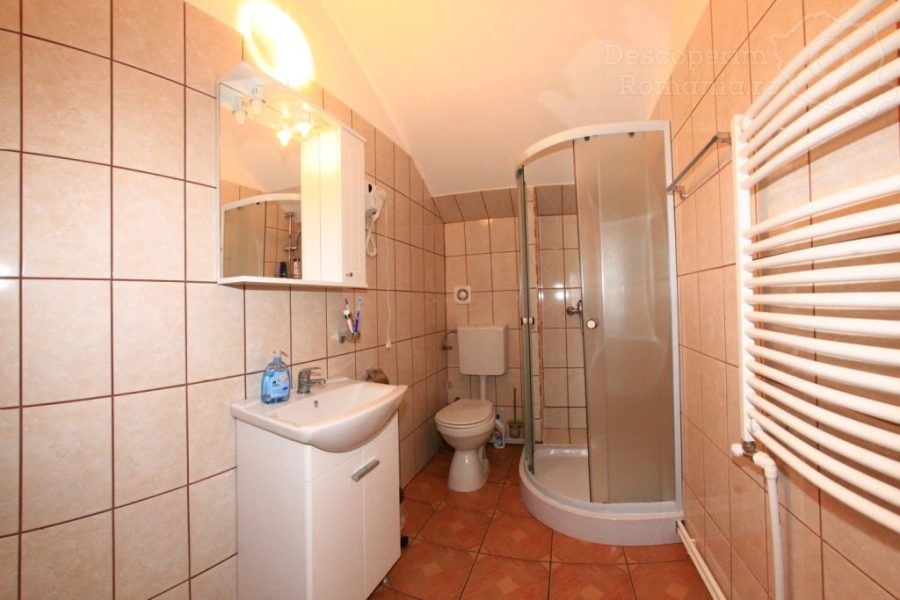 Vila-Simbol-din-Eselnita-29-900x600 Vila Simbol din Eselnita (29)