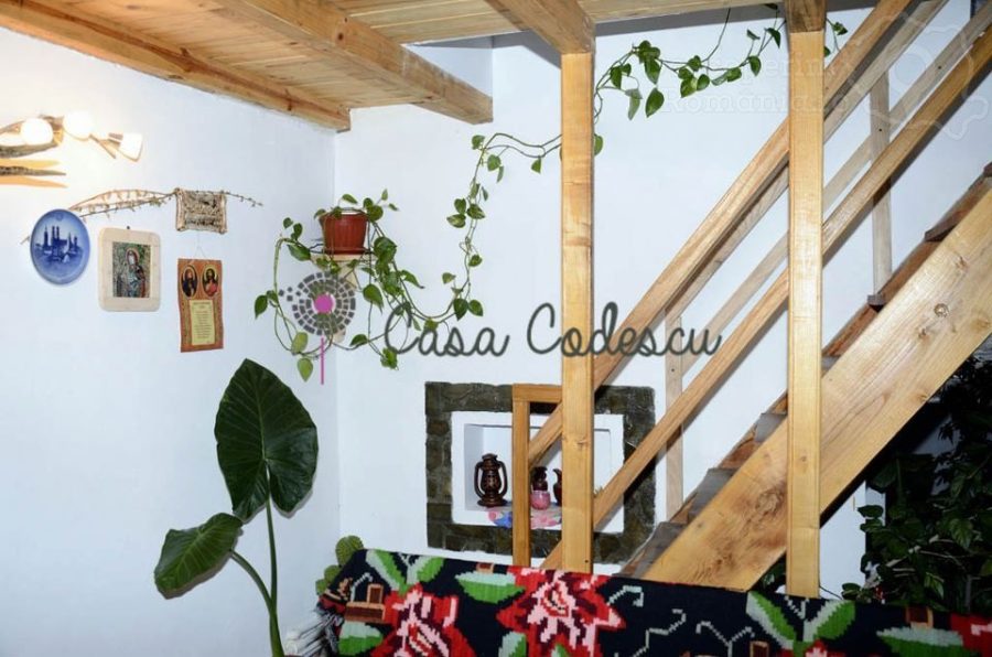 Casa-Codescu-din-Chiojdu-16-900x596 Casa Codescu din Chiojdu (16)