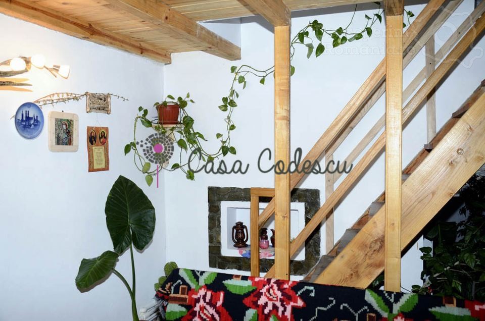 Casa Codescu din Chiojdu