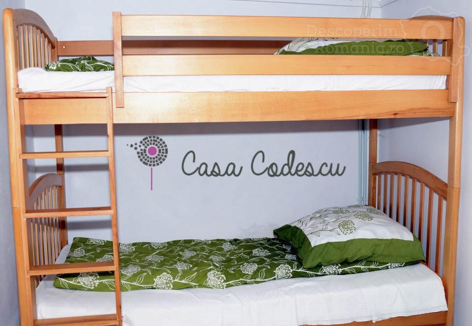 Casa Codescu din Chiojdu