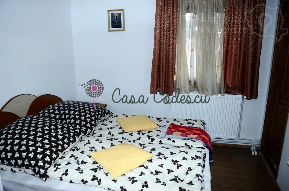 Casa Codescu din Chiojdu