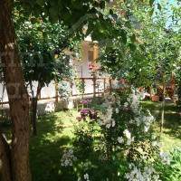 Casa Ștefănescu din Costinești