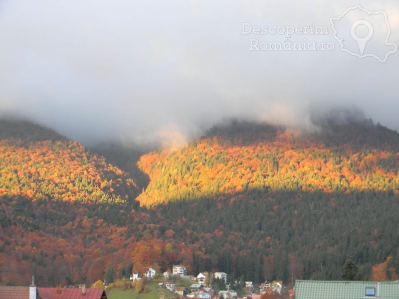 Casa-Ligiana-din-Poiana-Tapului-Prahova-Valea-Prahovei-13-800x600 Casa Ligiana din Poiana Tapului - Prahova - Valea Prahovei (13)