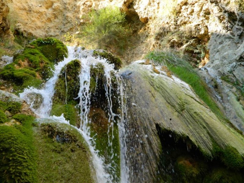 Cascada-Moceriş-–-tărâmul-zânelor-2-800x600 Cascada Moceriş – tărâmul zânelor (2)