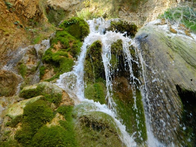 Cascada Moceriș