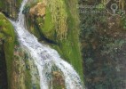 Cascada Moceriş – tărâmul zânelor (6)