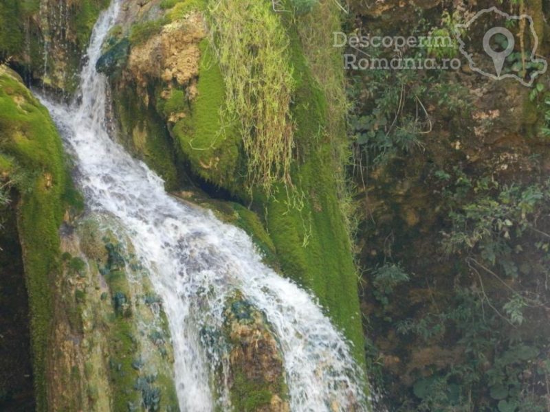Cascada-Moceriş-–-tărâmul-zânelor-6-800x600 Cascada Moceriş – tărâmul zânelor (6)