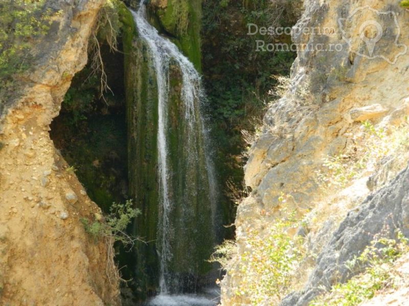 Cascada-Moceriş-–-tărâmul-zânelor-7-800x600 Cascada Moceriş – tărâmul zânelor (7)