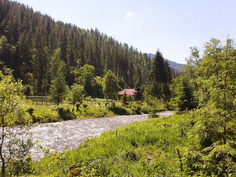 Cabana Pasu Lupului din Broșteni