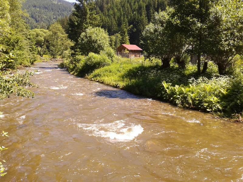 Cabana Pasu Lupului din Broșteni