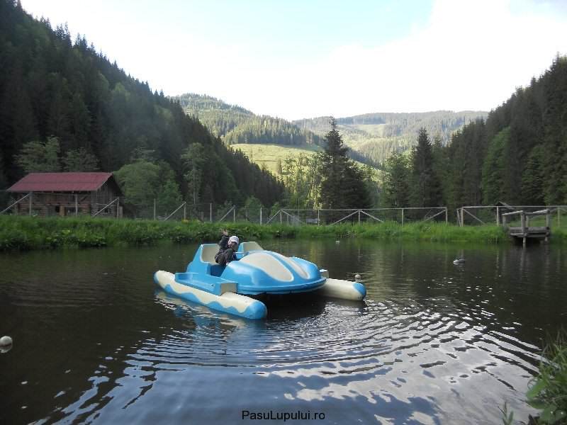 Cabana Pasu Lupului din Broșteni