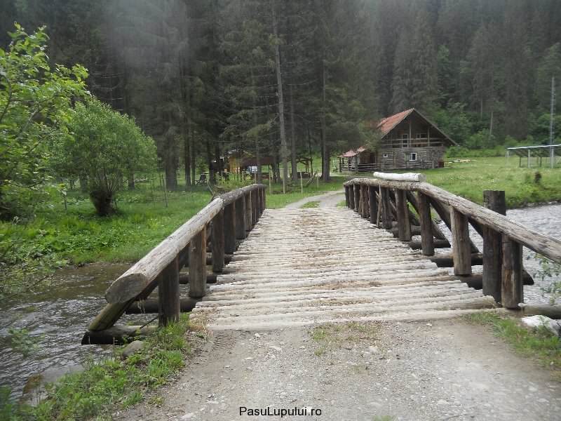 Cabana Pasu Lupului din Broșteni