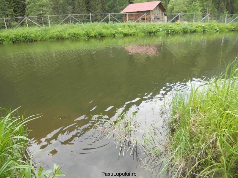 Cabana Pasu Lupului din Broșteni