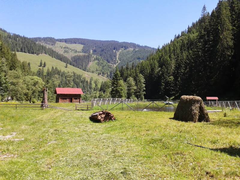 Cabana Pasu Lupului din Broșteni