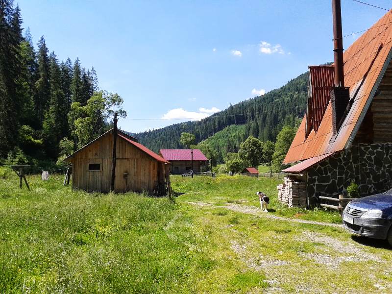 Cabana Pasu Lupului din Broșteni