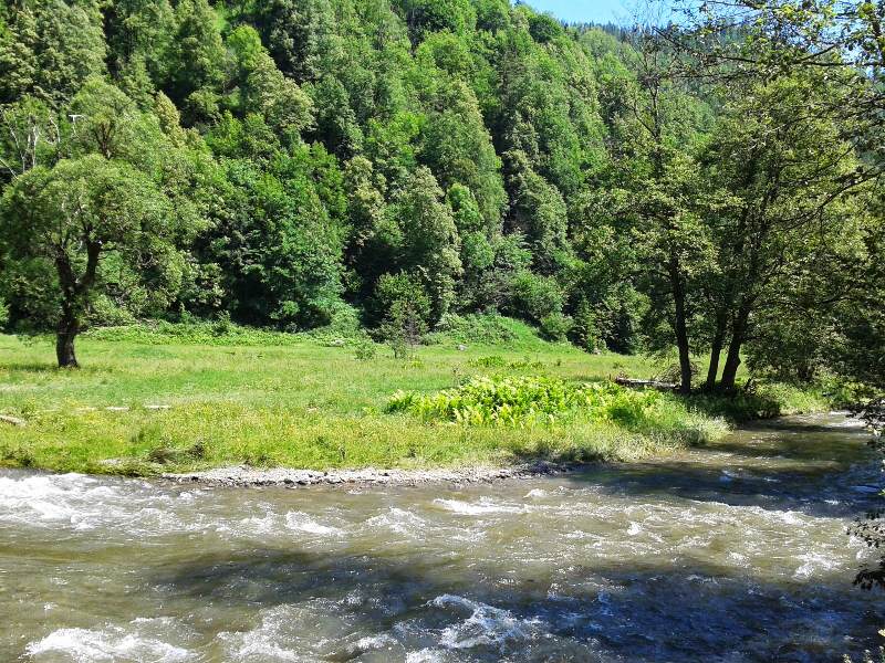 Cabana Pasu Lupului din Broșteni