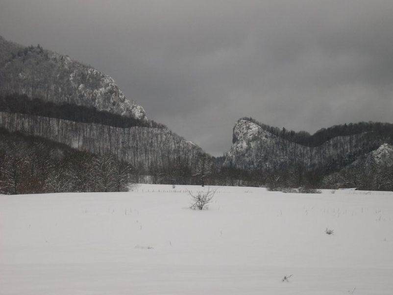 Cabana Verde Crud din Râșnov