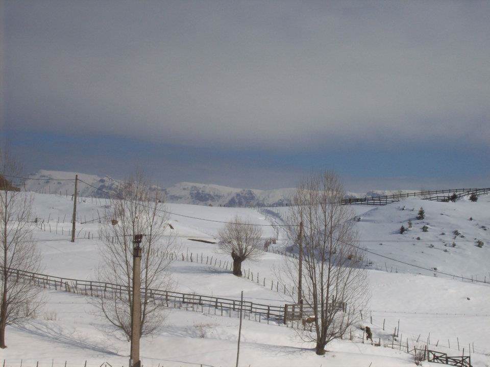 Casa Șirnea din Șirnea