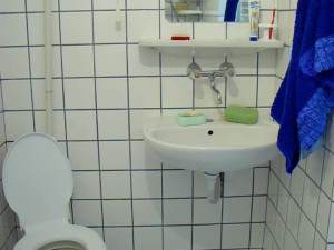 Cazare-la-Pensiunea-Casa-Vigh-din-Poiana-Marului-Banat-6-300x225 Cazare la Pensiunea Casa Vigh din Poiana Marului - Banat (6)