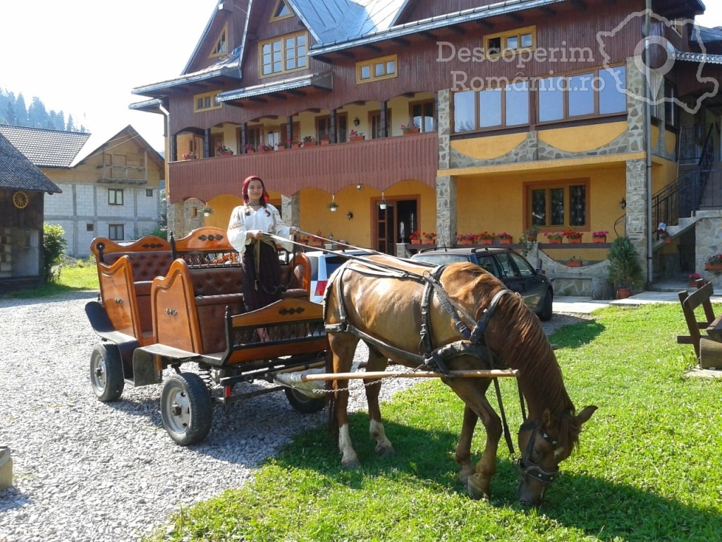 Pensiunea Colț de Bucovina din Voroneț