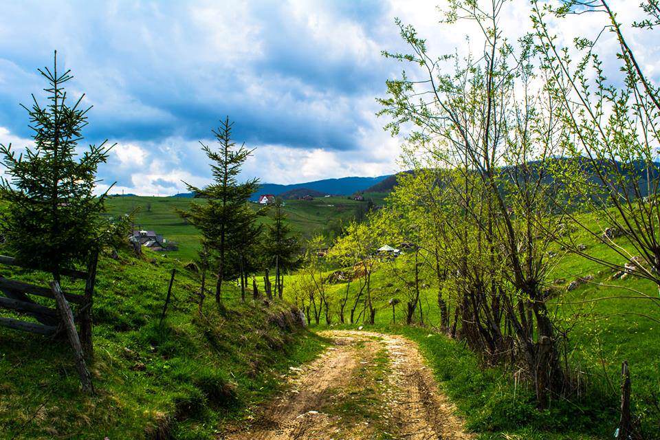 Pensiunea Crai Nou din Sirnea