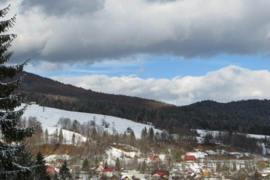 Pensiunea Poiana de Vis din Sucevița