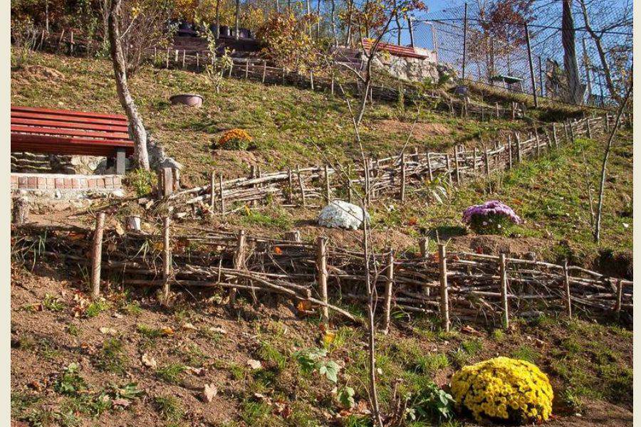 Pensiunea Promenada din Râșnov