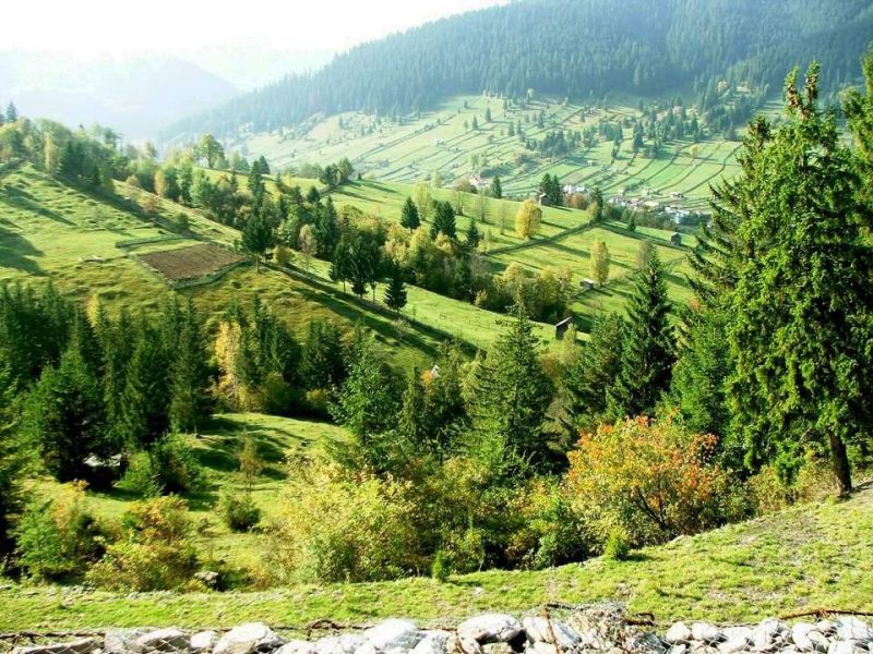 Cazare-la-Pensiunea-Sticletii-Bucovinei-din-Frasin-Suceava-Bucovina-2-800x600 Cazare la Pensiunea Sticletii Bucovinei din Frasin - Suceava - Bucovina (2)