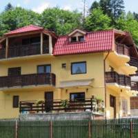 Vila Anghel din Predeal