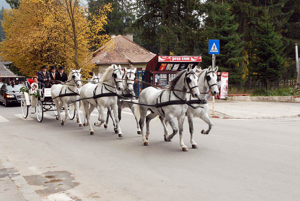 Vila Casa Viorel din Poiana Brașov