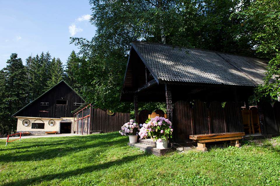 Vila Casa Viorel din Poiana Brașov