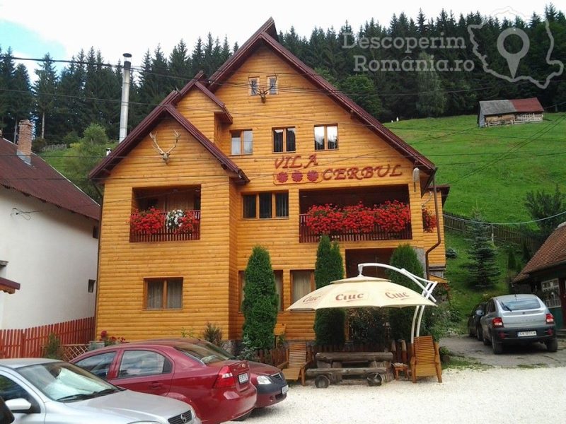 Cazare-la-Vila-Cerbul-din-Moeciu-de-Sus-Brasov-Transilvania-1-800x600 Vila Cerbul din Moieciu de Sus