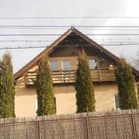 Vila Demy din Bran